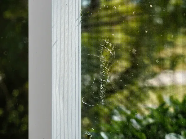 Quick and Easy Fixes for Patio Door Repairs at Home Essential Tools And Materials