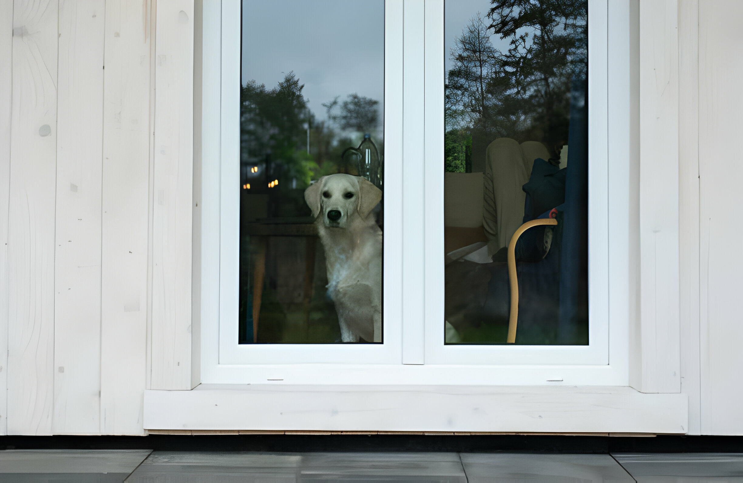 Choosing The Right Dog Flaps For Patio Doors